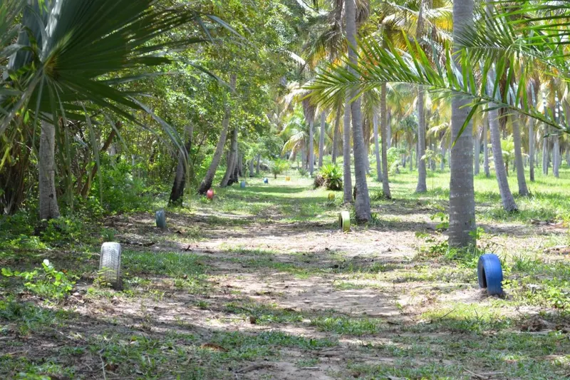 Área externa de Eco Pousada Paraíso dos Coqueirais