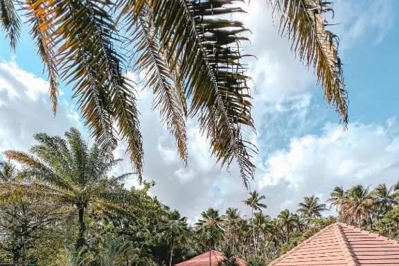 Piscina de Eco Pousada Paraíso dos Coqueirais