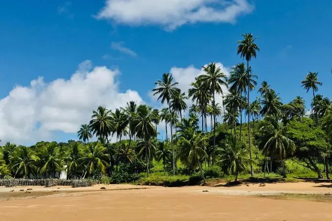 Vista a partir de Pousada Yapara Tyba